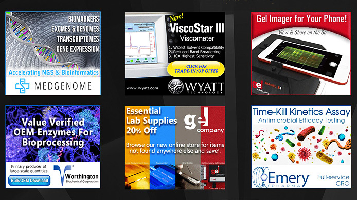 ADVERTISING + EMAIL + SEARCH + SOCIAL